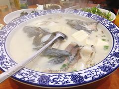 -全乐鱼馆·淳牌有机鱼直营店