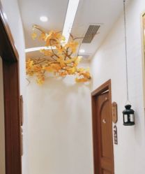 -芳朵美容养生SPA