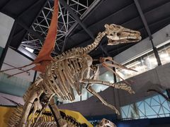 -湖南省地质博物馆