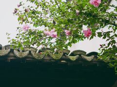 -惠山古镇·寄畅园