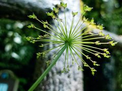 -龙苍沟森林公园