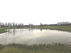 -洋湖国家湿地公园