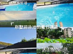 -广西体育中心-游泳馆