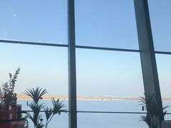 -抱抱地球咖啡馆(国家海洋博物馆店)