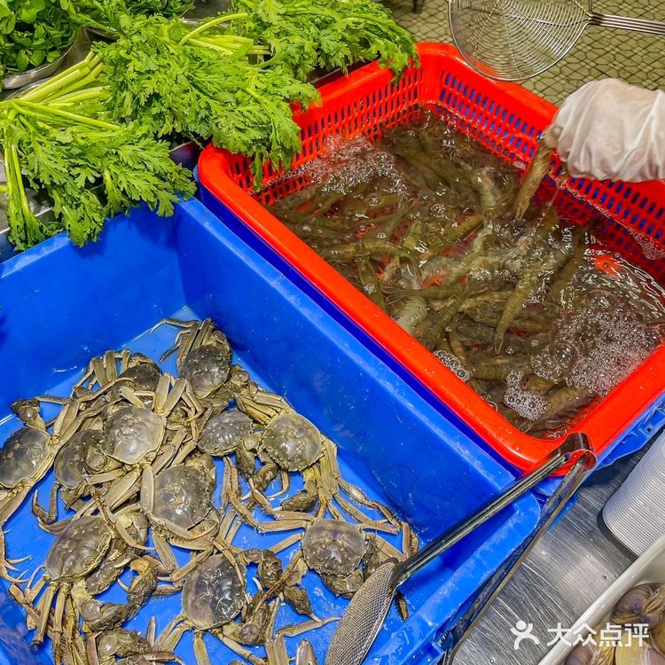 佛山粥料火锅天花板|有米粥料·海鲜粥料火锅