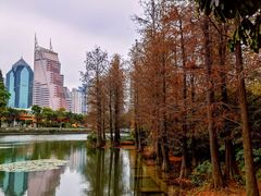 -荔枝公园(福田区)
