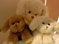 -大悦城(沈阳中街店)