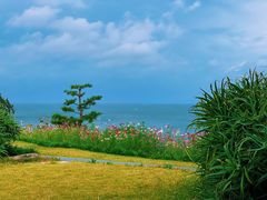 -滨千鸟之汤 海舟