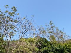 -梧桐山风景名胜区