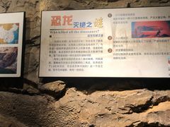-温州博物馆