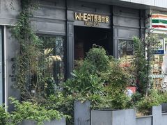 -原麦世家(莱蒙店)