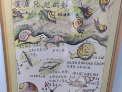 -上海昆虫博物馆