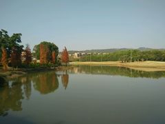 android_upload_pic-中旅阿那亚九龙湖·公主酒店