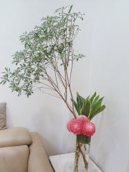 -北京叶子整形美容医院