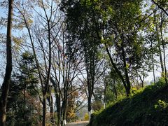 -四川农业大学(雅安校区)