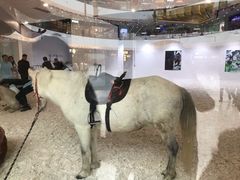 -万达茂商场(南京仙林店)