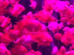 -左海海底世界