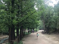 -白水寺森林公园