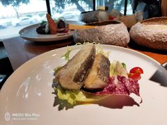 -more than meow吴止猫主题餐厅(承德 中船汇店)