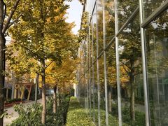 -南宫五洲植物乐园