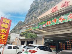 -银峰农庄·特色烧鸡·鲜无花果浸鸡