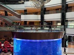 -OPEN開全日自助餐厅·西餐·海鲜(佛山希尔顿酒店)