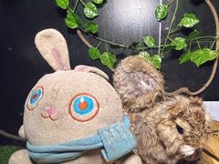 -明日世界密室轰趴·剧本桌游·箭馆团建(国贸店)