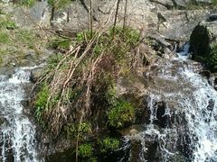 -藏龙百瀑风景区
