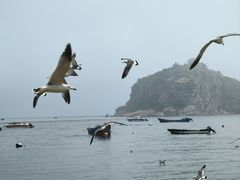 -棒棰岛宾馆景区