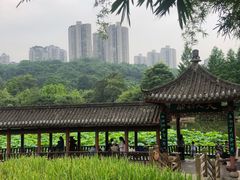 -龙头寺公园