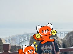 -星海湾跨海大桥