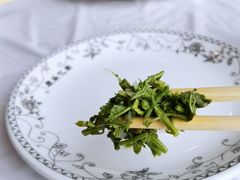 -京北渔家傲