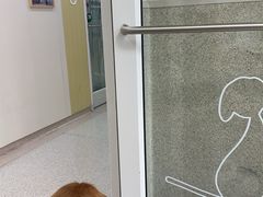 -谐和贝康宠物医院24小时·宠保定点(急重症转诊中心)