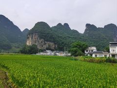 -明仕田园