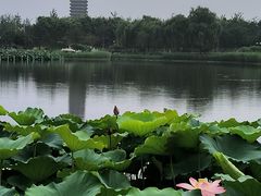 -西海子公园