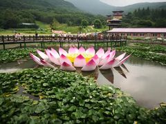 -帽儿山风景区