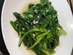 -新渝城·川菜·火锅(区庄店)