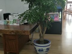 -蓝莓果幼儿园(通州梨园店)