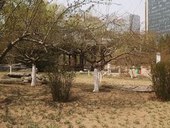 -元大都城垣遗址公园