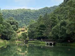 -桃花岭景区