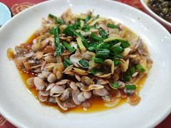 海瓜子-红灯笼龙凤饭店(宁波老字号店)