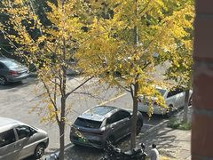 -K+全国连锁KTV(绿地缤纷天地店)