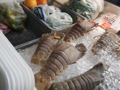 -纽顿熟食中心