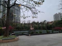 -东风公园
