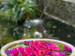 -三亚亚龙湾五号度假别墅酒店