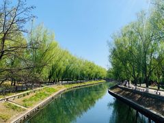 景点-北京动物园
