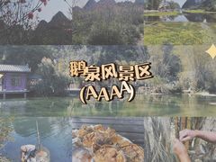 -靖西鹅泉风景区