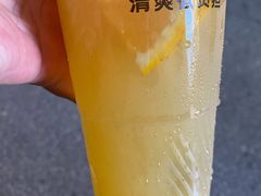 冰爽香橙冻冻-书亦烧仙草(新华路店)