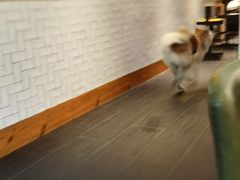 -BOCATA 西班牙餐厅(三里屯店)