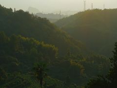 -杨家堂村